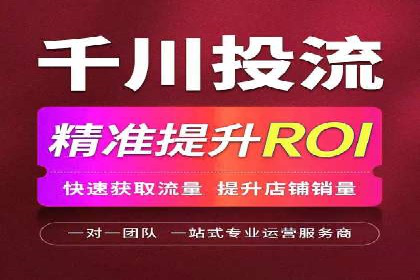 百度推广服务费案例：打造爆款产品营销策略